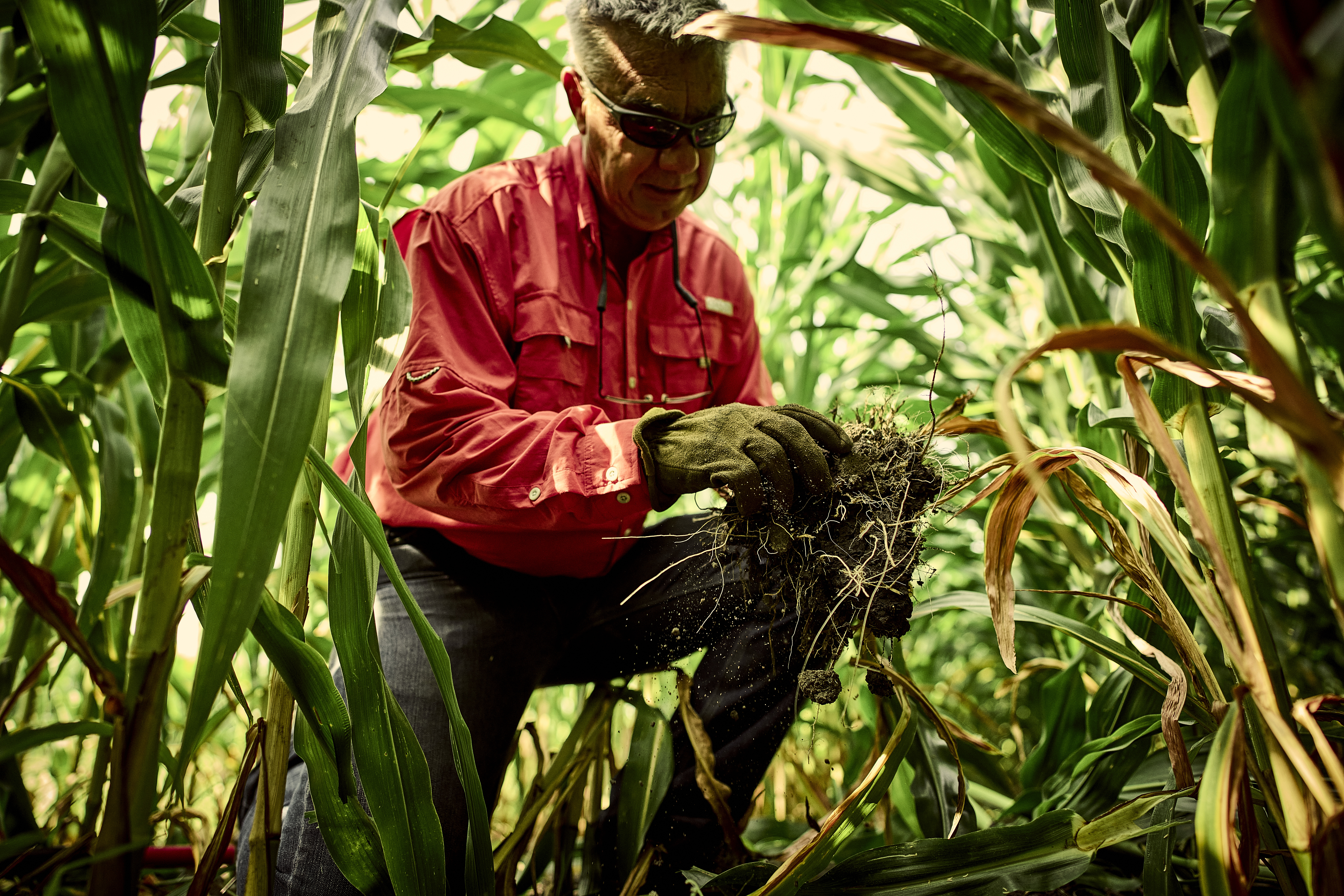 VT4PRO™: Cutting-Edge Corn Protection | Crop Science US