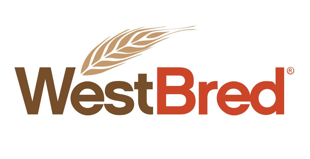 WestBred Wheat - Recipe for Success in 2024 | Crop Science US