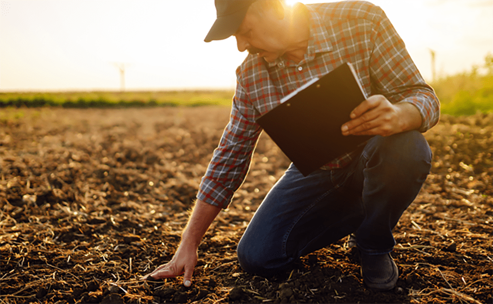 Promo Tools of Greatest Possible Weed Control